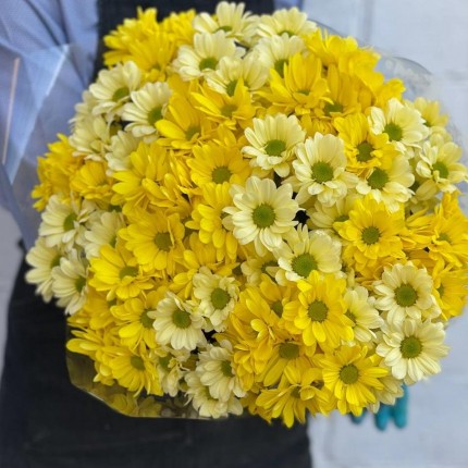 желтая кустовая хризантема - купить с доставкой в по Аксаю